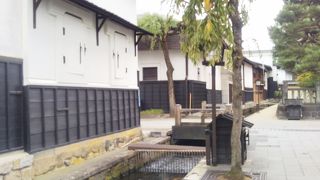 瀬戸川の鯉の餌やり