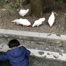 毎回見ると癒される