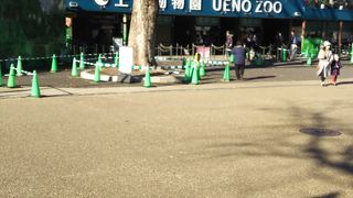 上野の人気スポット