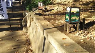 夜に行くとよいのかも。