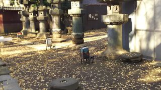 ずらりと並びます