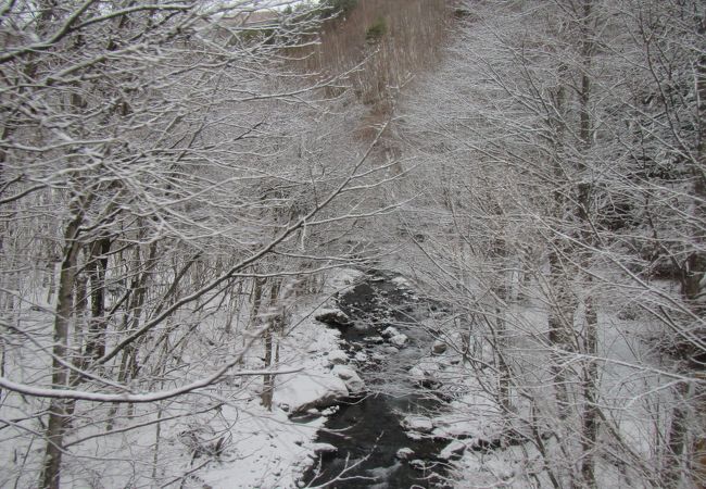 北上山地の山中からＪＲ山田線と並行して流れる川