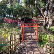 芝丸山古墳上にあります