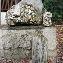 乃木神社のさざれ石と標示です。拝殿の手前の東側にあります。