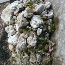 小さな礫岩が石灰質で凝固していき、硬く大きくなっています。