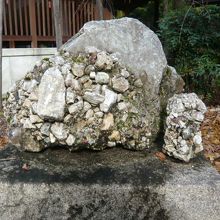 乃木神社のさざれ石のを、正面の標示札の方向から見ています。