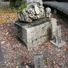 乃木神社のさざれ石と背景の正松神社への通路との関係が判ります