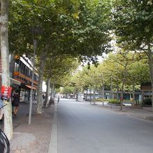 通りの様子です。