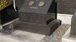 家康のめがねの形