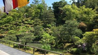 青もみじの頃もおススメ