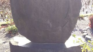 スッポンに感謝