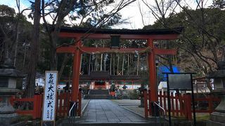 桜や紅葉の時期に行きたい場所