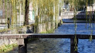 白川の一本橋がある風景