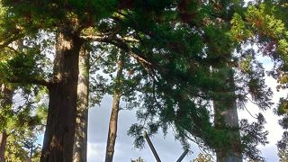 伊勢神宮で初詣