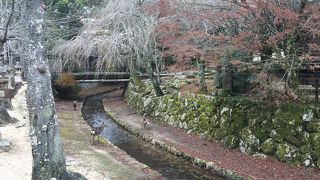 ロープウェーで山に登るのもいい