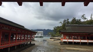 大鳥居は工事中