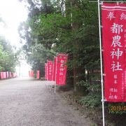 森林浴も楽しめる神社です