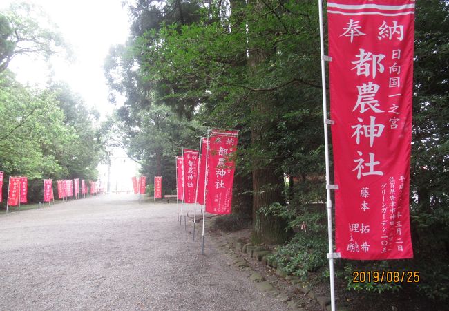 森林浴も楽しめる神社です