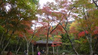 瑞巌寺公園の紅葉