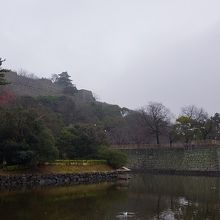 お堀のユリカモメと遊べる。