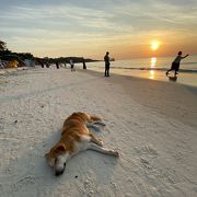 昼間は中国の方々に占領されているので、夕方から夜にブラブラするのがオススメ