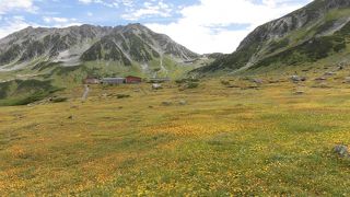 高原バスを利用。