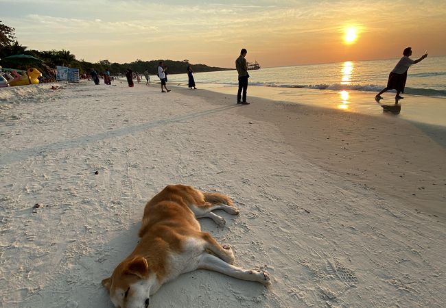 昼間は中国の方々に占領されているので、夕方から夜にブラブラするのがオススメ