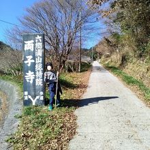 遊歩道を上って行くと参道です　左手は車道