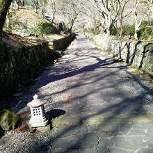 紅葉の時期が最高の参道