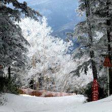 迂回コースの途中。