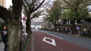 谷根千観光の入口