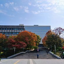 中央図書館に向かう階段