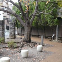 さくら坂公園の門柱から、すこし奥に、乃木大将誕生の地の石碑が