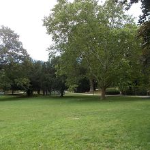 公園の様子です。