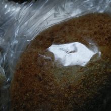 キーマカレーパン