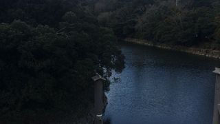 内宮参拝に行き、五十鈴川を眺めました