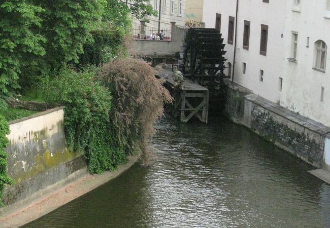 結構大きな水車