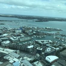 スカイタワーからの眺め