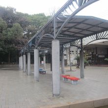 よく見ると、イルミネーションの電球が随所で確認できました