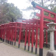 沢山の鳥居が奉納された伏見稲荷的（？）な箇所も。