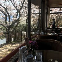 午前中が狙い目