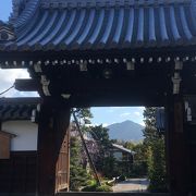 比叡山を望む「額縁門」