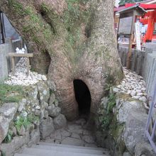 樟霊社胎内くぐり。＠３００円です。