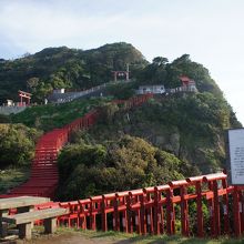 この光景を見に来ました！