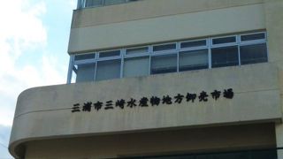 マグロ漁場分布図;世界中の海で！