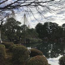 兼六園内