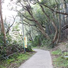 奥宮横の坂