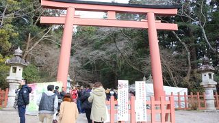 お正月は渋滞になります