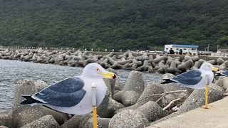 防波堤が楽しい