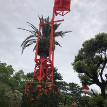 空に向かって伸びていってます